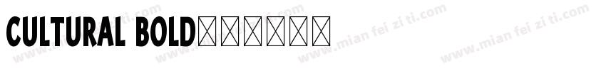 CULTURAL Bold字体转换